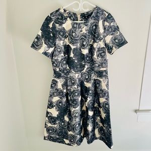 NWT Lord & Taylor 424 Fifth A-line Dress. Grey & cream rose motif.